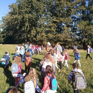 Hradiště Branišovice